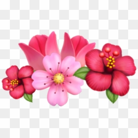 Rosa Glauca, HD Png Download - flower crown png