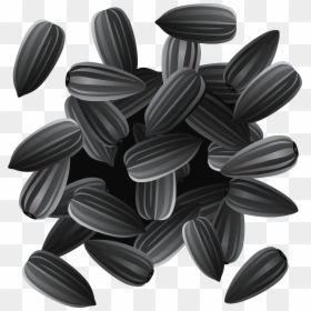 Transparent Background Sunflower Seeds Clipart, HD Png Download - sunflower png