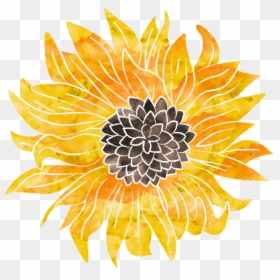 Sunflower, HD Png Download - sunflower png