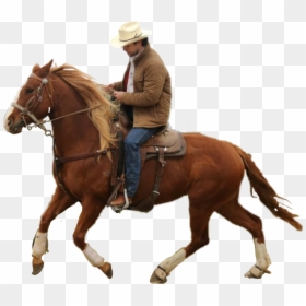 Montar A Caballo Hombre, HD Png Download - horse png