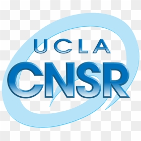 Company, HD Png Download - ucla logo png