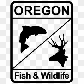 Odfw Fixes Glitches - Oregon Department Of Fish And Wildlife, HD Png Download - glitches png