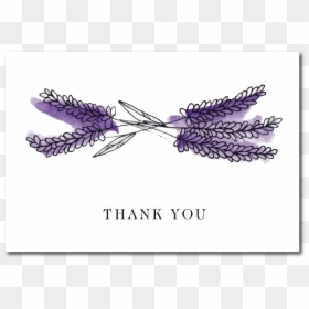 Lavender Thank You Card"  Class="lazyload Lazyload - Sketch, HD Png Download - lavender ribbon png