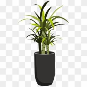 Plants, HD Png Download - yucca plant png