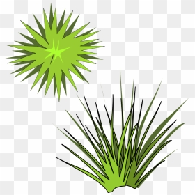 Plant,leaf,arecales - Spiky Plant Clipart, HD Png Download - yucca plant png