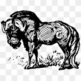 Line Art,wildlife,art - Stallion, HD Png Download - arts png