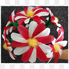 Diyana Flower By Black Magic - Common Zinnia, HD Png Download - flower png pack