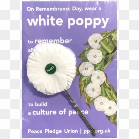 Remembrance White Poppy Meaning, HD Png Download - flower png pack