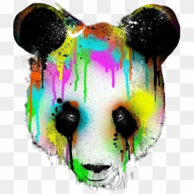 #urso #tumblr - Mlg Panda, HD Png Download - imagens png tumblr