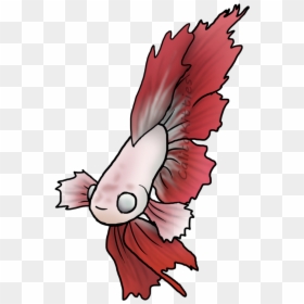 Clipart Transparent Download Betta Drawing Feather - Illustration, HD Png Download - betta png