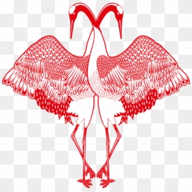 Greater Flamingo, HD Png Download - flamingo vector png