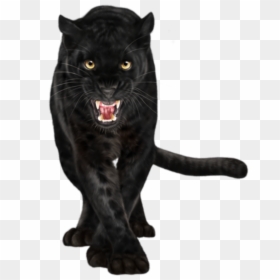 #black Panther - Black Panther Png Animal, Transparent Png - panther head png