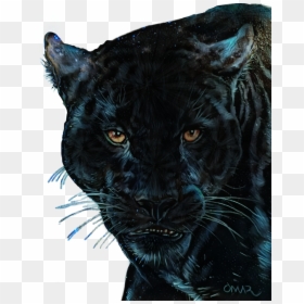 #panther #black #blackpanther - Jaguar, HD Png Download - panther head png