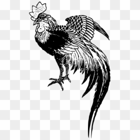 Chicken Rooster Drawing - Cockfight Svg, HD Png Download - chicken drawing png