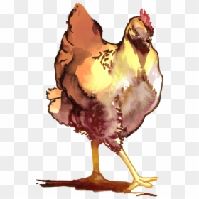 Chicken, HD Png Download - chicken drawing png