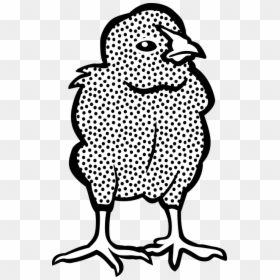 Διαδρομοι Guy Laroche, HD Png Download - chicken drawing png