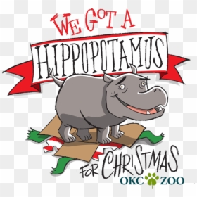 Hippo For Christmas - Hippopotamus For Christmas, HD Png Download - baby hippo png