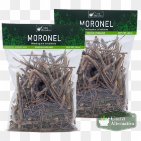 Planta Moronel Hierba - Para Que Sirve El Moronel, HD Png Download - hierba png