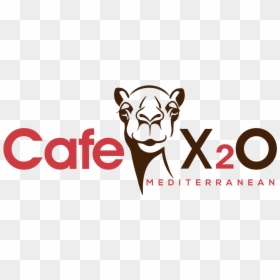 Cafe X2o Ribbon Cutting Ceremony - Cafe X20, HD Png Download - home decor png