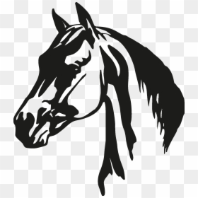 Transparent Horse Head Clipart - Horse Head Free Vector, HD Png Download - horse head silhouette png