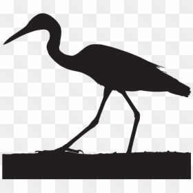 Cattle Egret Crane Bird Head Silhouette- - Cattle Egret Silhouette Png, Transparent Png - horse head silhouette png