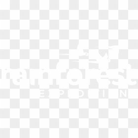 Graphic Design, HD Png Download - lomo saltado png