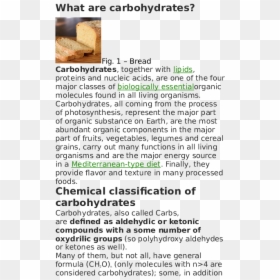 Document, HD Png Download - carbohydrates png