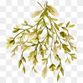 Autumn Dense Branches Cartoon Transparent - Twig, HD Png Download - png branches