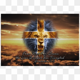 Lion Of Judah Png, Transparent Png - lion of judah png
