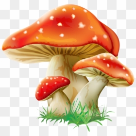 #mushrooms #red #fantasy - Cartoon Mushroom, HD Png Download - magic mushroom png