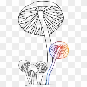 Transparent Magic Mushroom Clipart - Line Art, HD Png Download - magic mushroom png