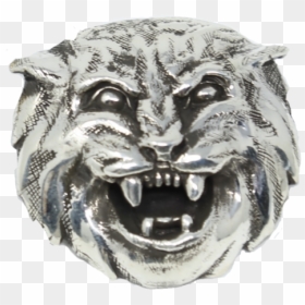 Champtiger, HD Png Download - tiger roar png