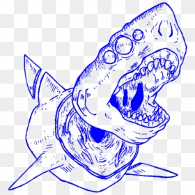#aesthetic #art #lineart #outline #shark #sharks #decapitated - Outlines Aesthetic Png, Transparent Png - shark outline png