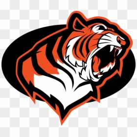 Belleville High School Belleville Mi Tigers, HD Png Download - tiger roar png