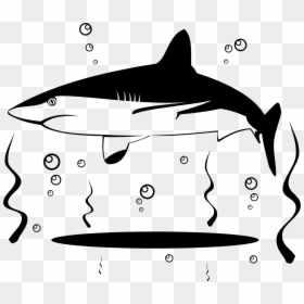 Duck Clipart Shark Black And White - Vector Graphics, HD Png Download - shark outline png