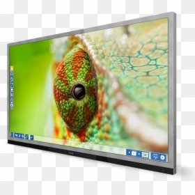 Interactive Flatscreens - Full Hd Wallpapers Chameleon, HD Png Download - flatscreen png