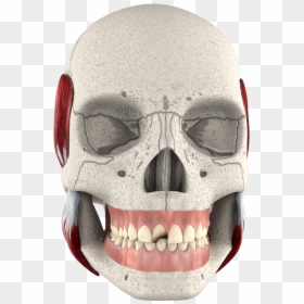 Skull, HD Png Download - 3d crown png