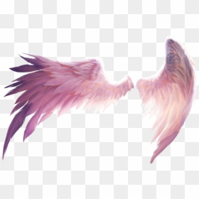 #wings #freedom #angel #fall #wing #demon #fly #birds, - Angel Wings Picsart, HD Png Download - wing.png