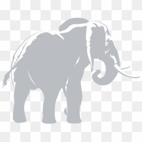 Logo - Elephant Silhouette Black And White, HD Png Download - elephant trunk png