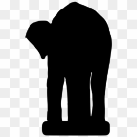 Indian Elephant, HD Png Download - elephant trunk png