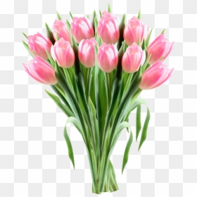 Tulip Flower Clip Art - Tulips Png Transparent Clipart, Png Download - tulip flower png