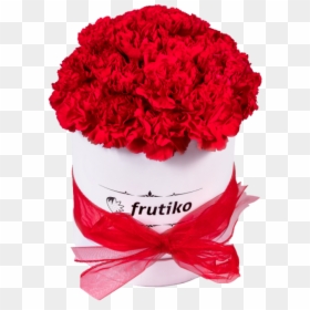 Red Carnations White Oval Box - Garden Roses, HD Png Download - red carnation png