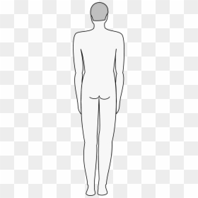 Transparent Human Being Clipart - ظهر جسم الانسان كرتون, HD Png Download - body silhouette png