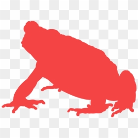 Toad Silhouette, HD Png Download - toad animal png