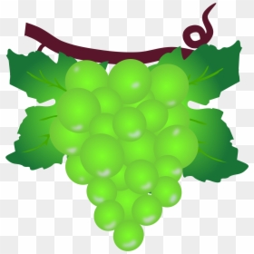Grapevine Clipart Green - Grape, HD Png Download - grape vine border png