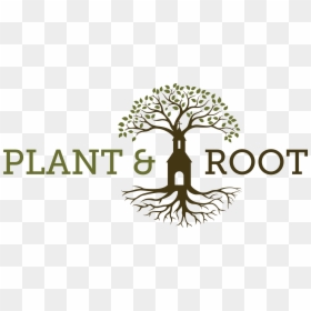 Tree With Roots Logo, HD Png Download - plant with roots png