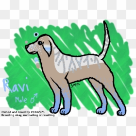 Picture - Ancient Dog Breeds, HD Png Download - dog laying down png
