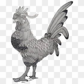 Rooster, HD Png Download - zentangle png
