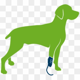 Dog With Prosthesis Only, HD Png Download - dog laying down png
