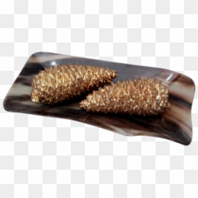 Wood, HD Png Download - pinecones png